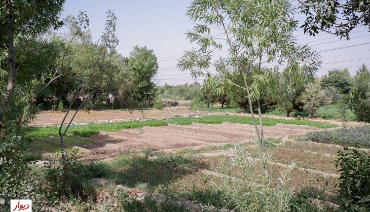 مزرعه در محله جوانمرد قصاب تهران