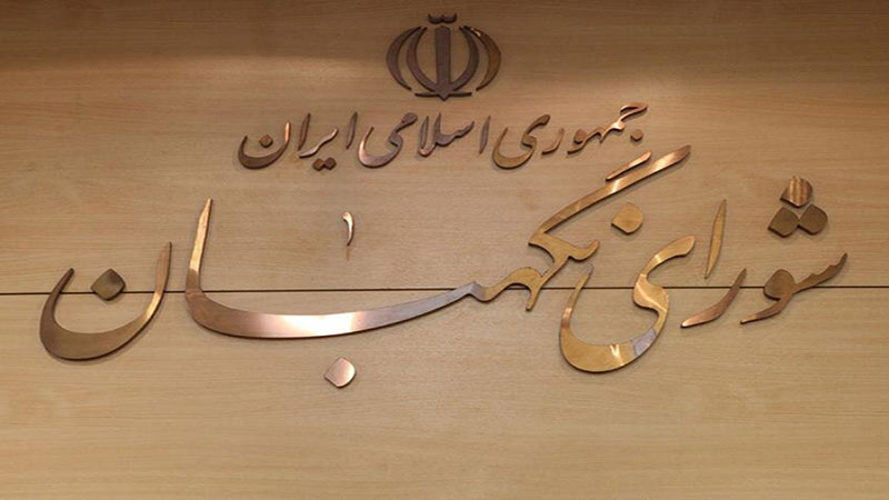 ملاک نمایندگان برای طرح واردات خودرو، نظر شورای نگهبان است
