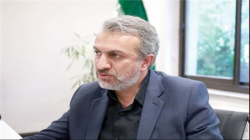 فاطمی امین: ناکارآمدی‌های صنعت خودرو تا ۲ سال آینده رفع می‌شود