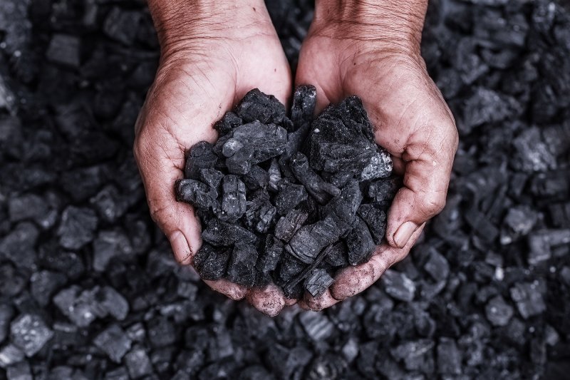ممنوعیت فروش زغال یکی از اقدامات دیوار برای حفاظت از محیط زیست است